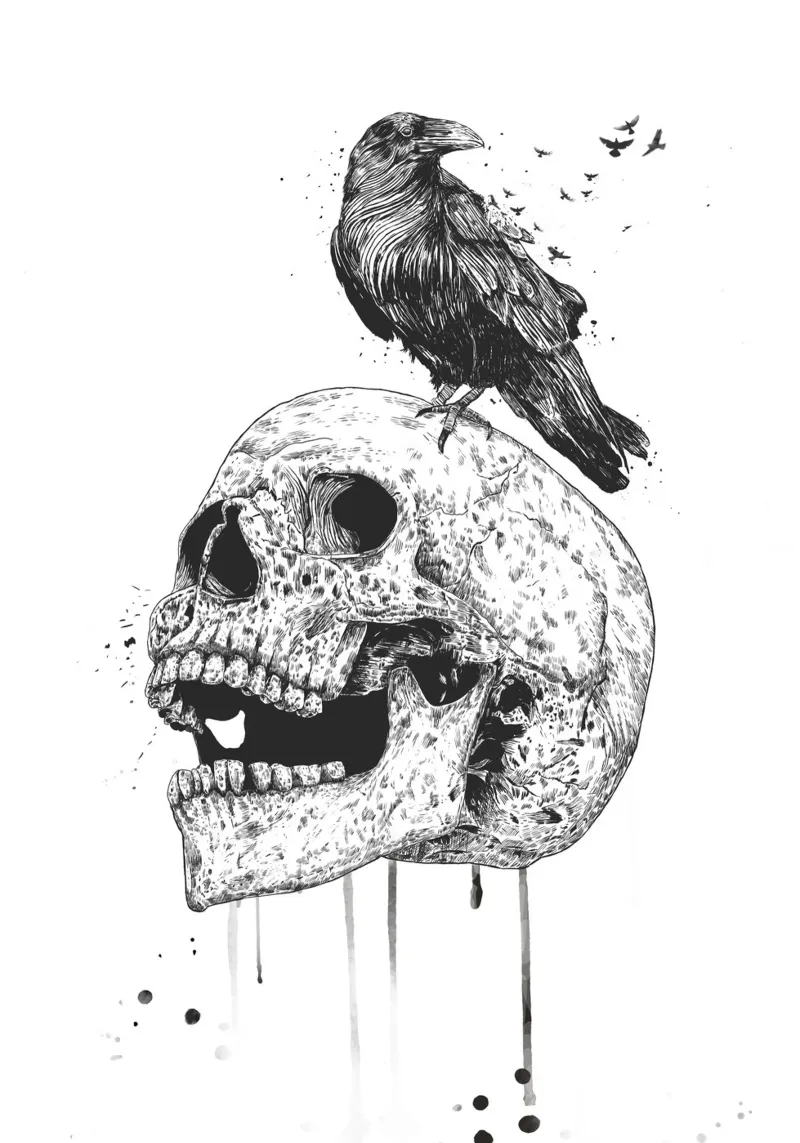 New skull pellicola backlit da Balazs Solti