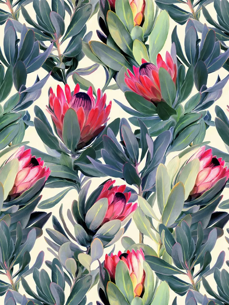 Fiori di protea Stampa poster con telaio in plastica da Leahprint