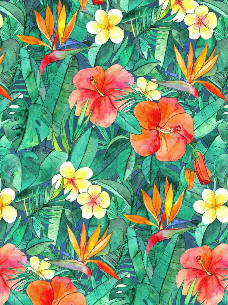 Giardino tropicale poster con telaio in plastica da Leahprint
