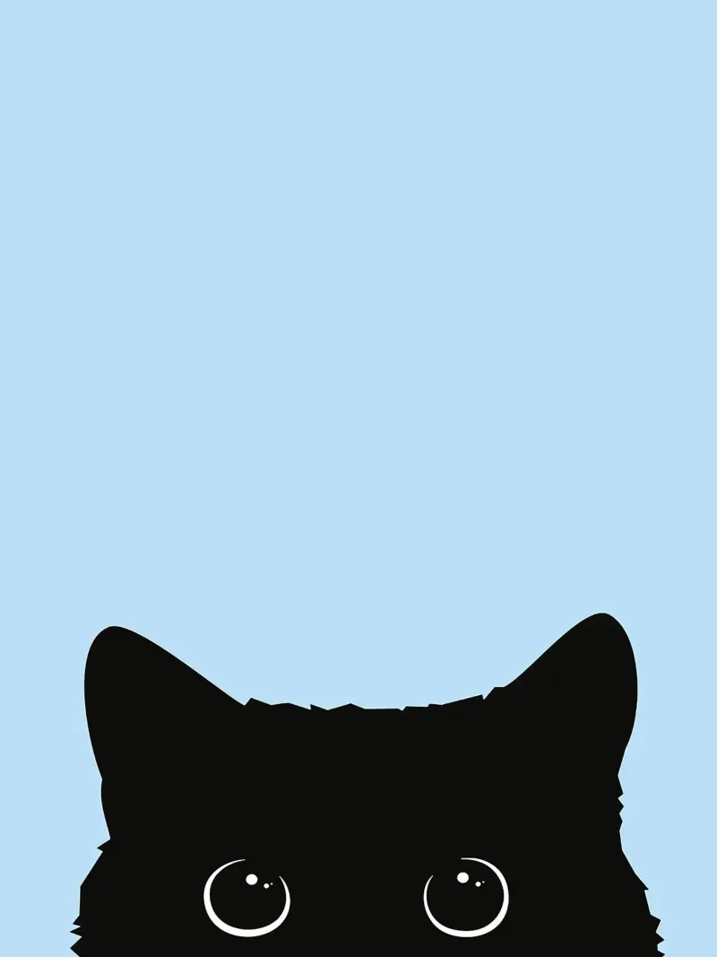 Curious Cat canvas with Floater frame by Leonard R Sadler