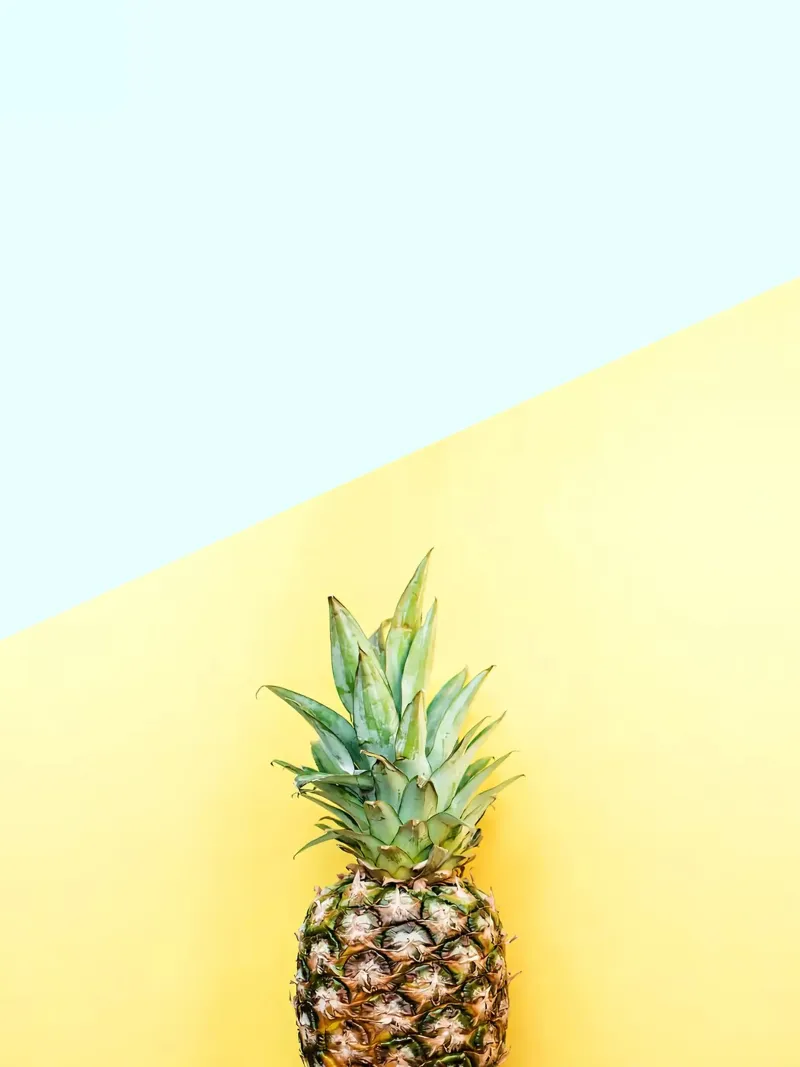 Pineapple composition IV canvas with Floater frame by Sven B Strauss
