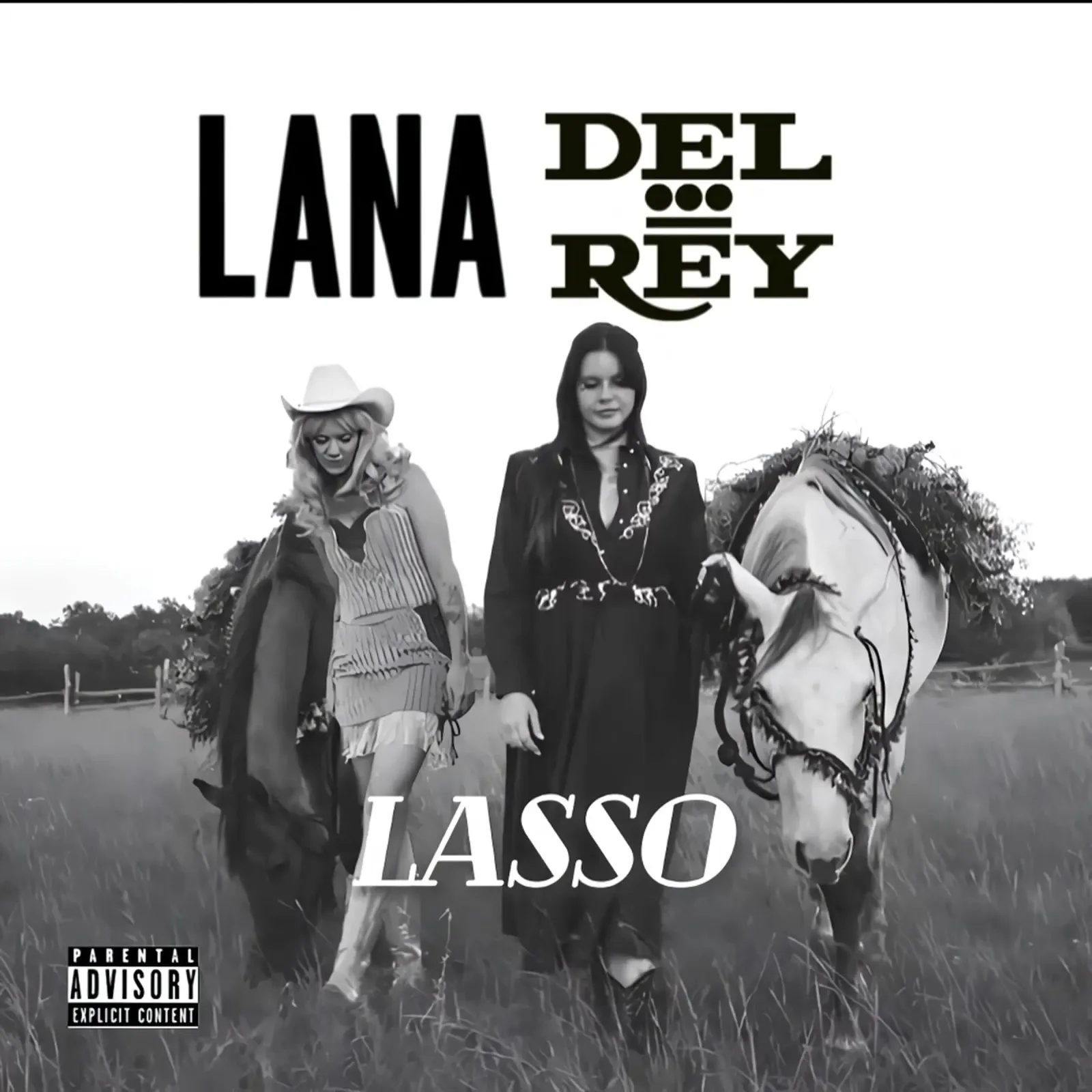 Lana Del Rey Lasso poster con telaio in legno da kanel shop