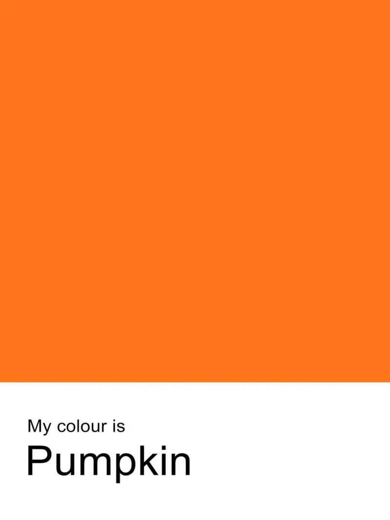 Mijn kleur is pompoen - Minimalistische herfst typografie print canvas met Baklijst van JaySan Studio