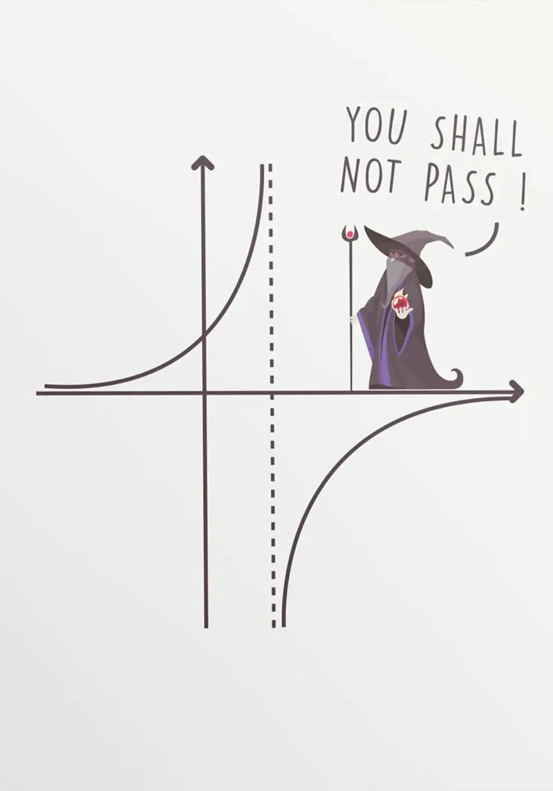 Asymptote Gandalf You Shall Not Pass canvas with Floater frame by Mildred Store