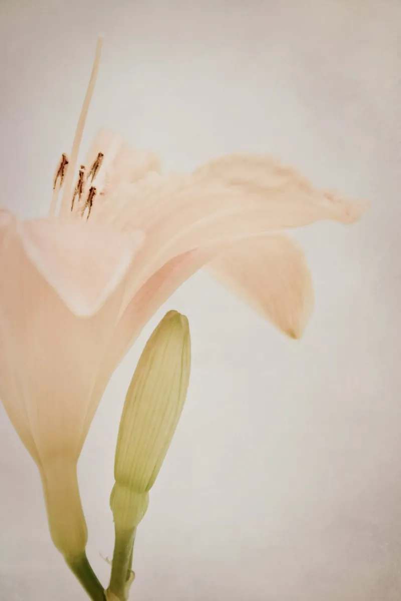peachy poster with plastic frame by Visuelle Poesie am Wegesrand