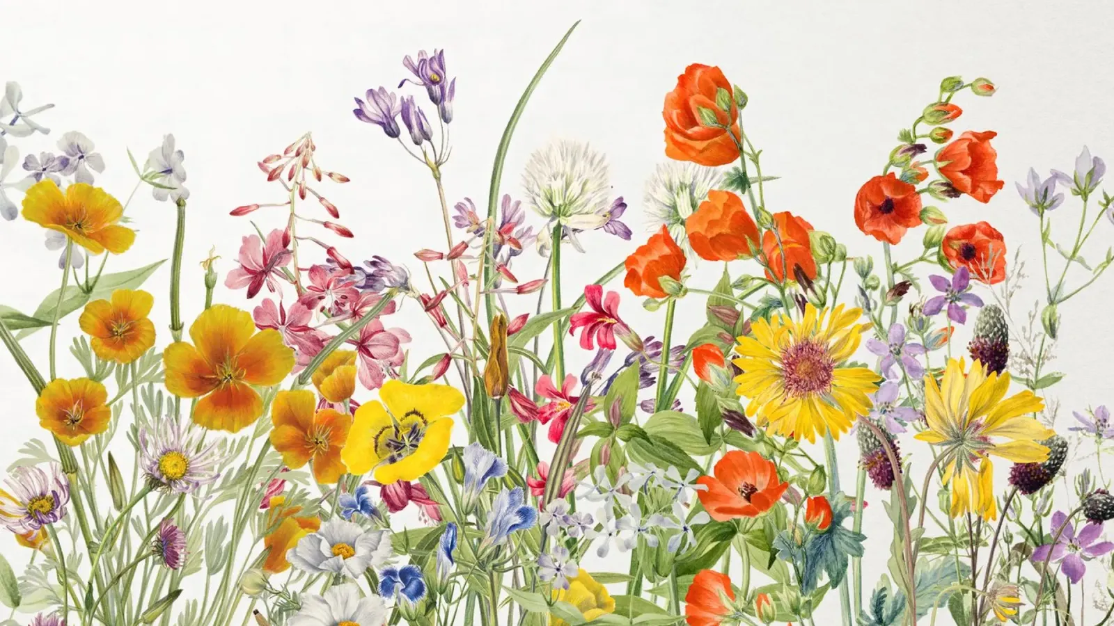 Spring is Here lienzo con Marco flotante de Artsy Bessy