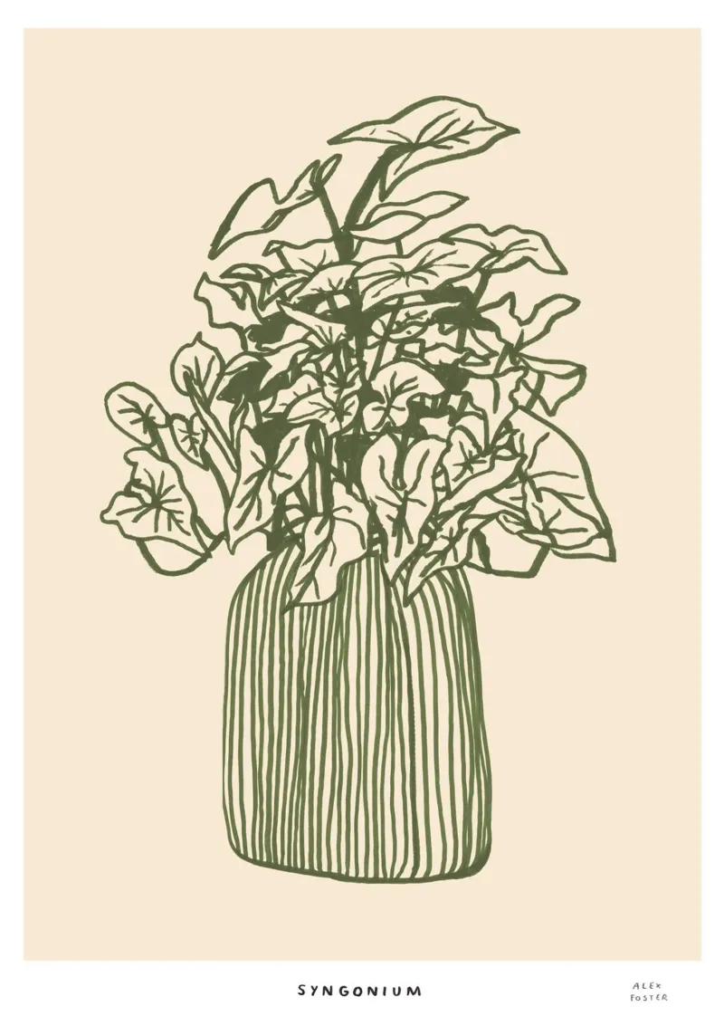 Syngonium plant wall art poster with wooden frame by Alex Foster