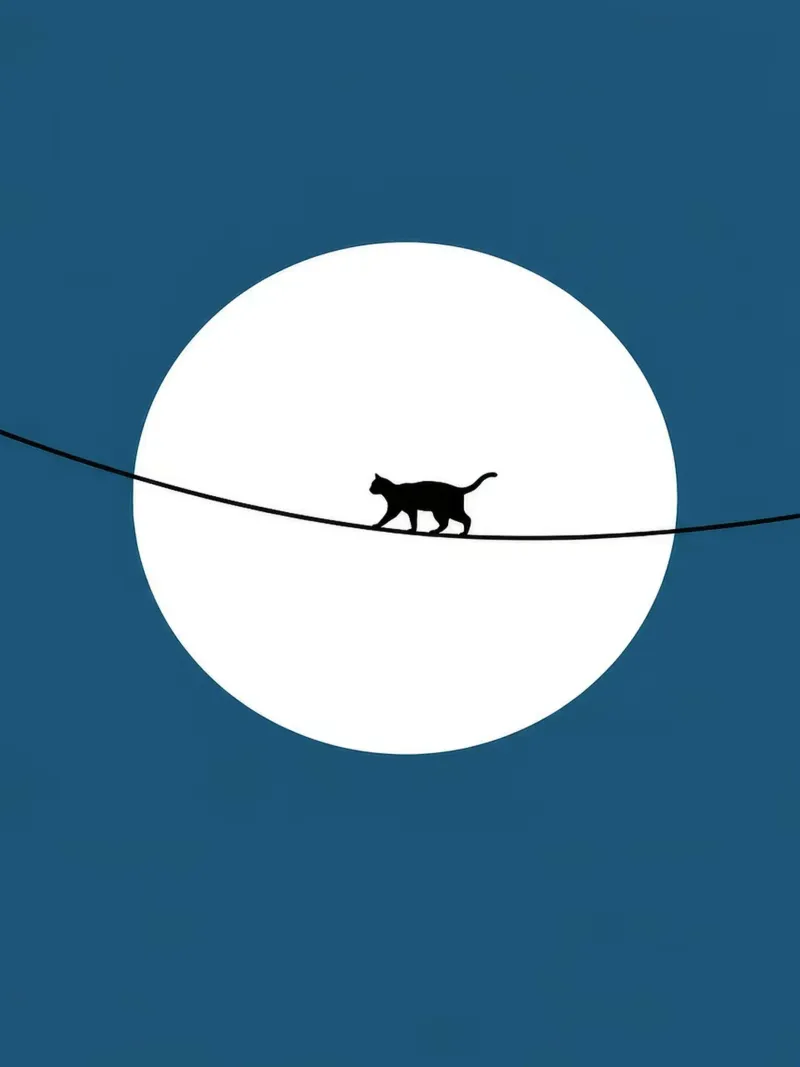 Cat on a Wire canvas with Floater frame by Leon Franke
