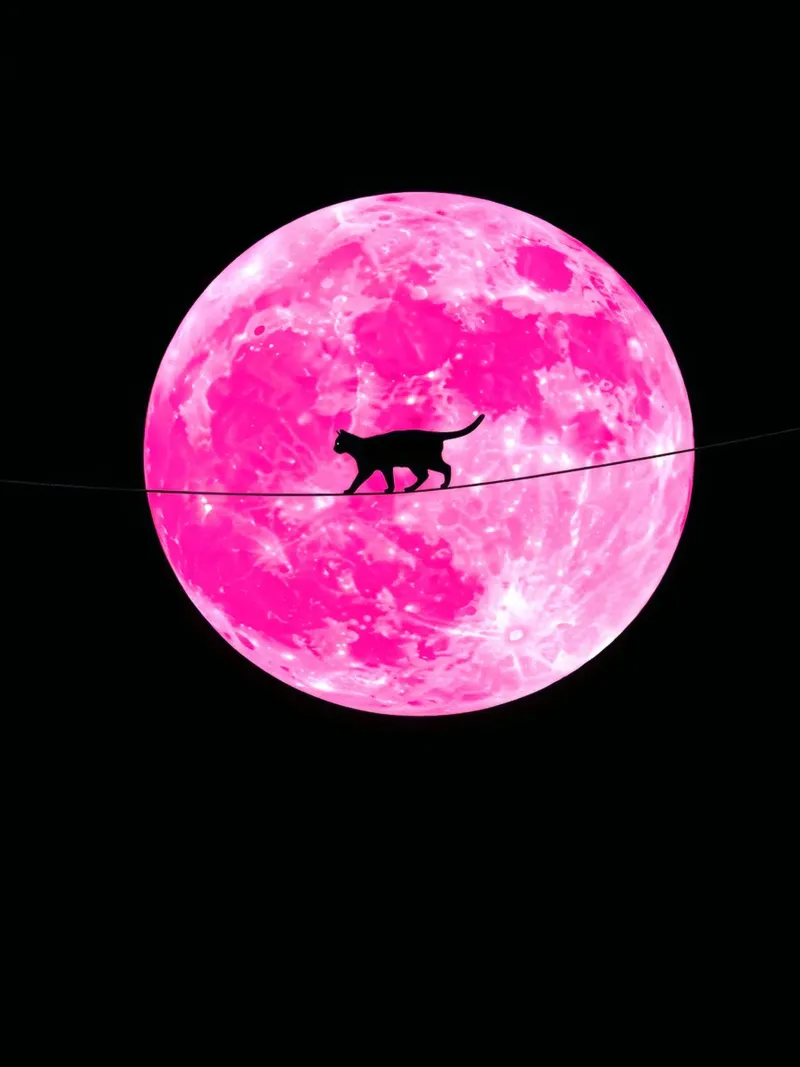Pink Moon Cat canvas with Floater frame by Leon Franke