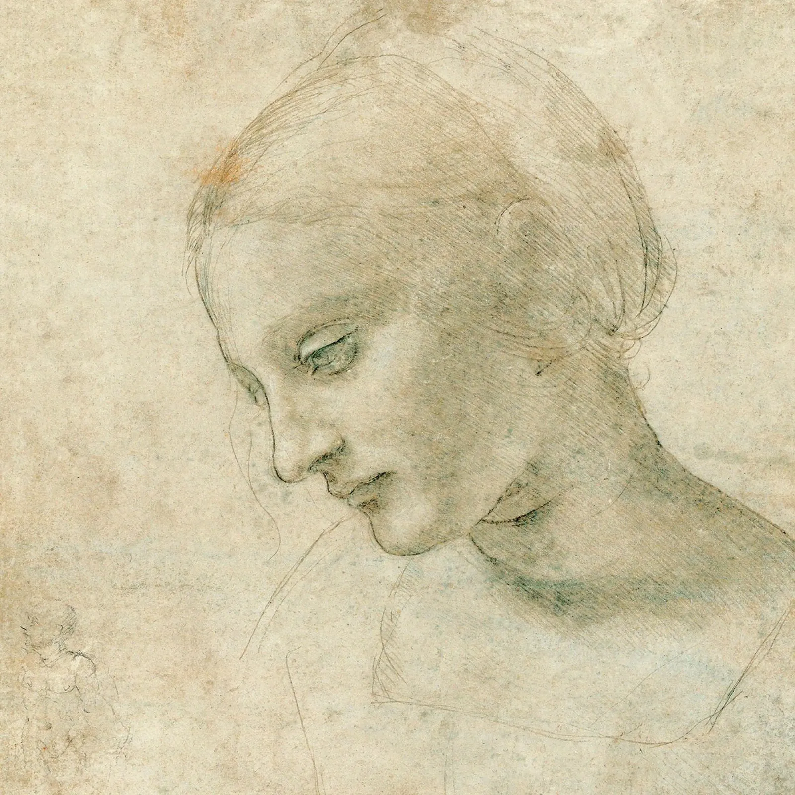 Testa femminile di profilo di Leonardo da Vinci poster da James McIntosh