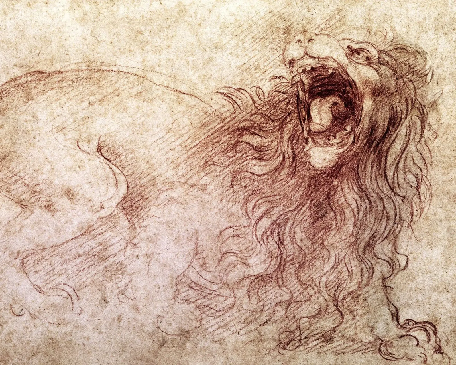 Schizzo di un leone ruggente di Leonardo da Vinci poster da James McIntosh