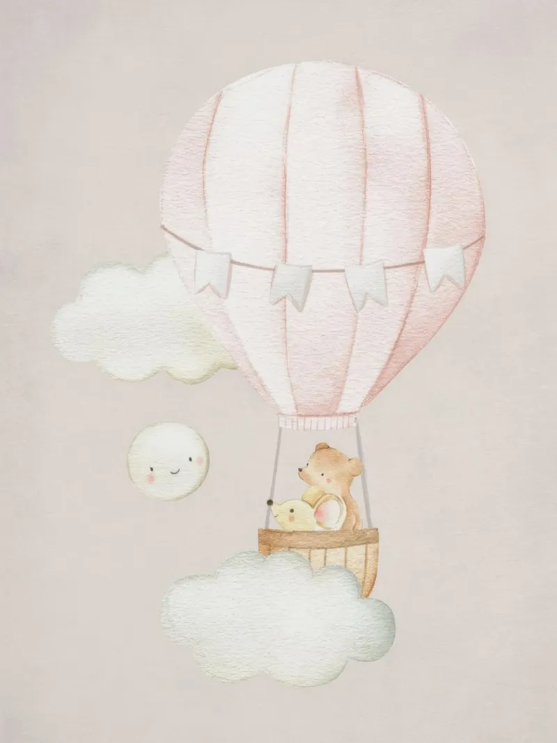 Hot Air Balloon No2 canvas with Floater frame by Panait Ivascu