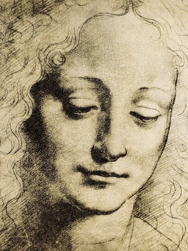 Testa di giovane di Leonardo da Vinci tela con Cornice a cassetta da James McIntosh