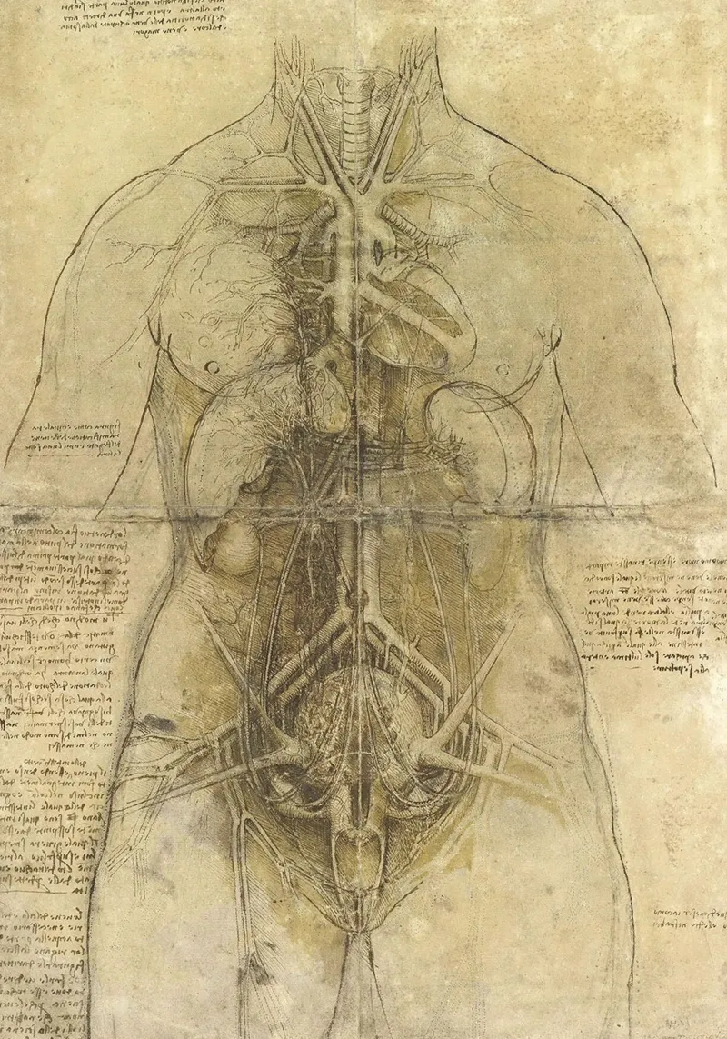 Estudio anatómico de Leonardo da Vinci poster con marco de aluminio de James McIntosh