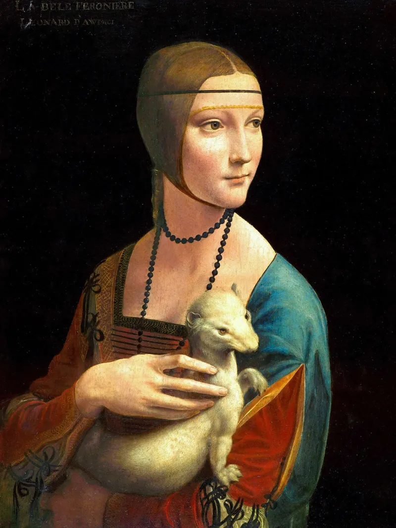 Dama con l'ermellino di Leonardo da Vinci poster con telaio in plastica da James McIntosh