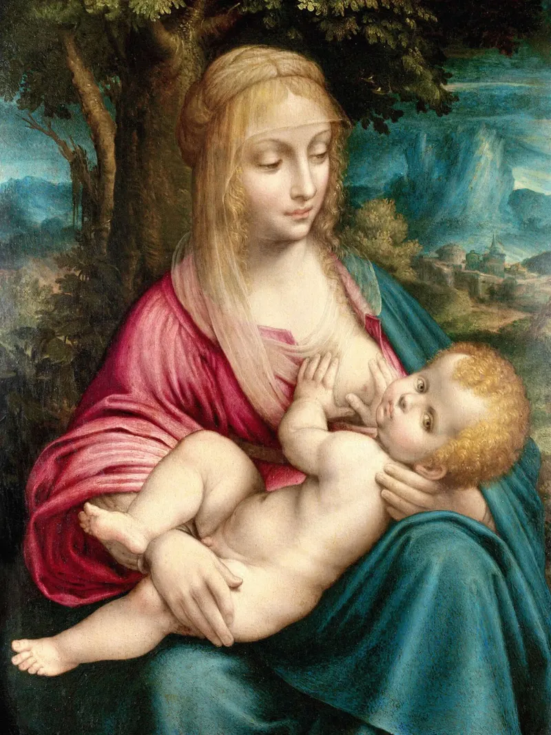 Madonna by Leonardo da Vinci poster da James McIntosh