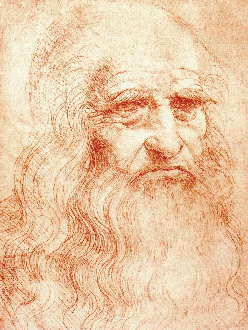 Ritratto di uomo in gesso rosso di Leonardo da Vinci poster da James McIntosh