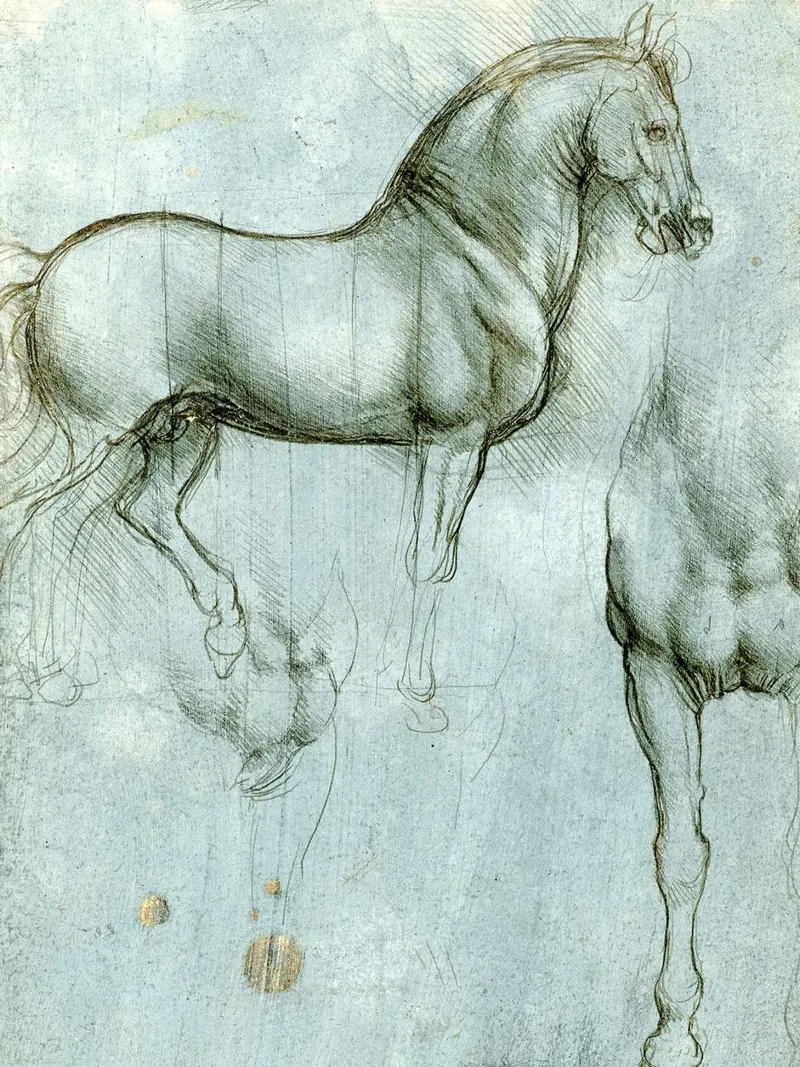 Studi di un cavallo di Leonardo da Vinci poster da James McIntosh