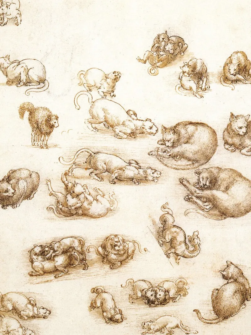 Studio di un cane e di un gatto di Leonardo da Vinci poster con telaio in legno da James McIntosh