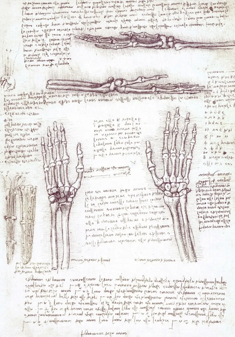 Studio di una mano di Leonardo da Vinci poster con telaio in alluminio da James McIntosh