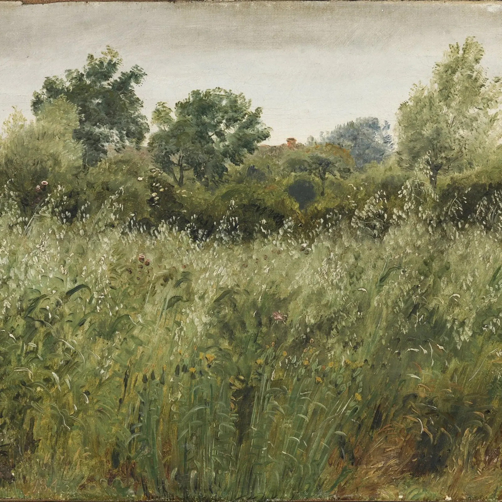 Field of Oats near Vejby tela con Cornice a cassetta da vintageshop