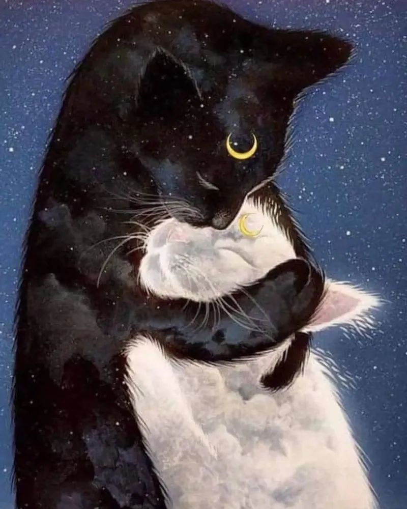 cats hold each canvas with Floater frame by huminity