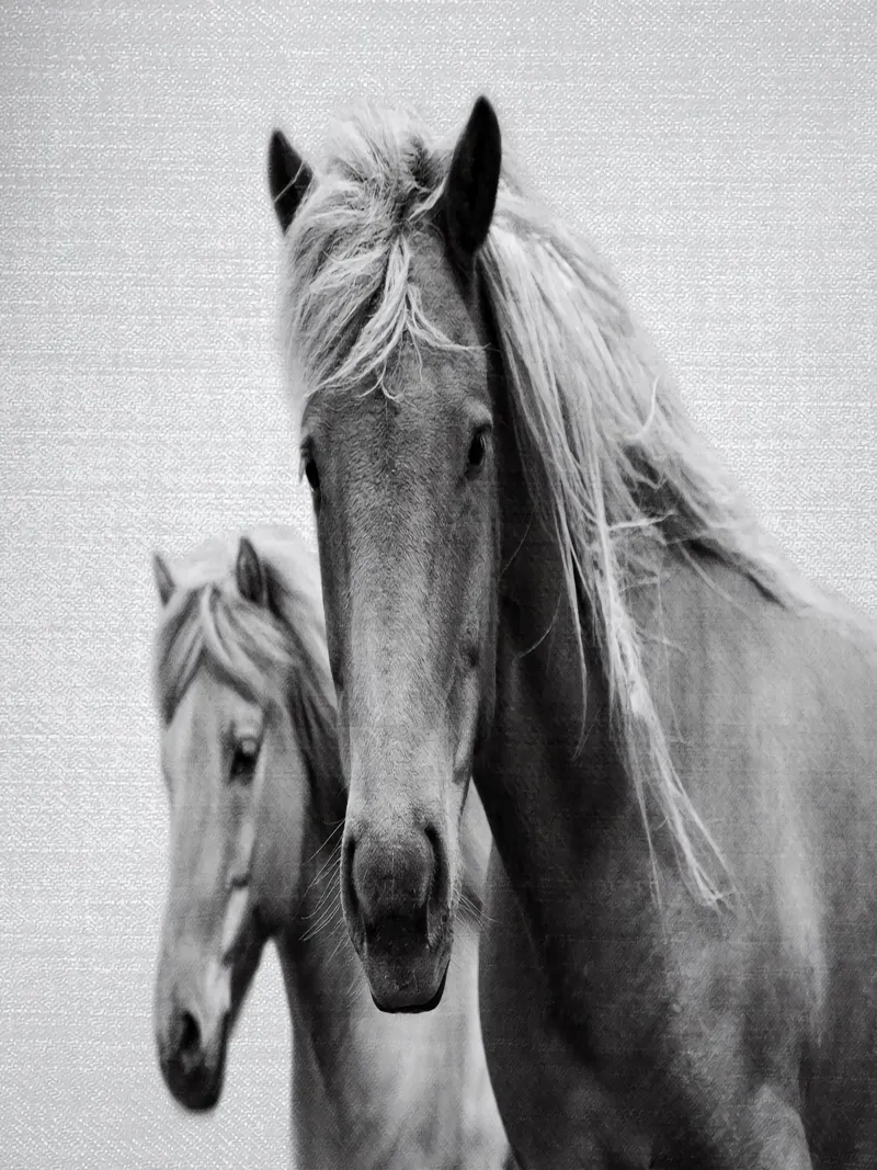 Cavalli in bianco e nero poster con telaio in legno da Eldon S Kiser