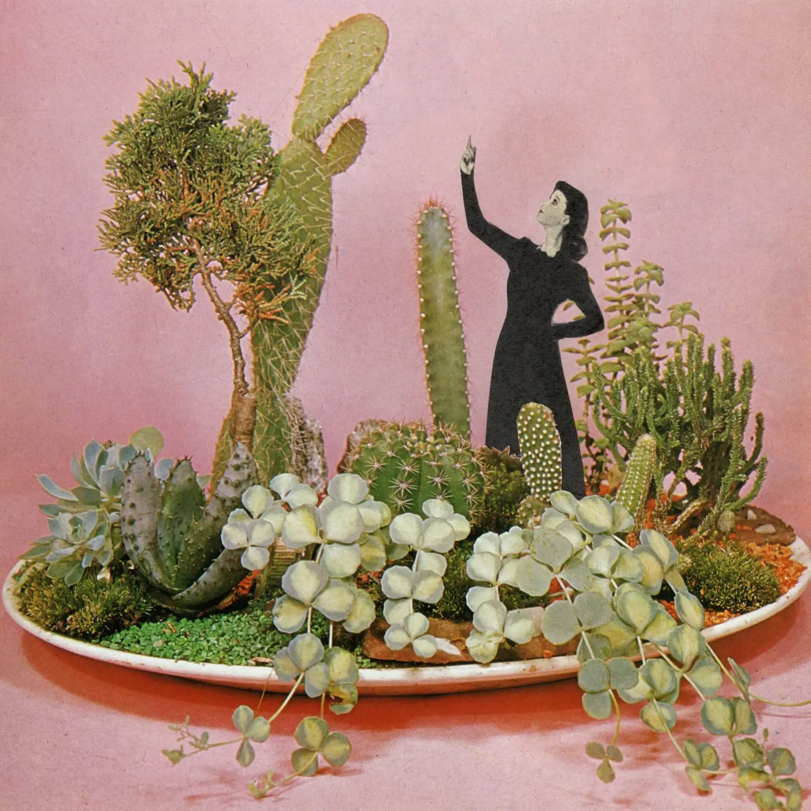 Le meraviglie dell'Isola dei Cactus poster con telaio in legno da Cassia Beck Collage