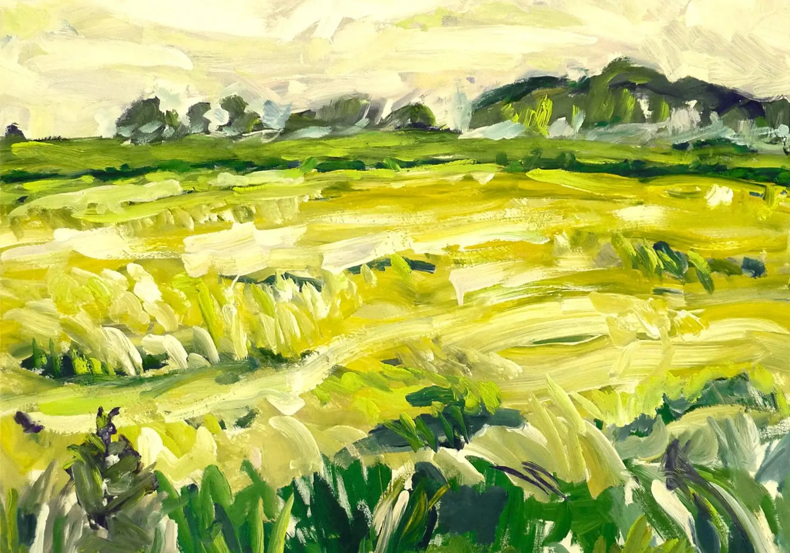 Green Field poster da mip of map