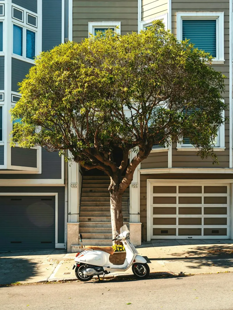 White motorbike under the tree poster da mip of map