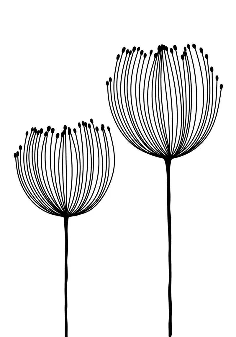 Zwei Wildblumen - Linienzeichnung Line Art alu dibond de BAINAI