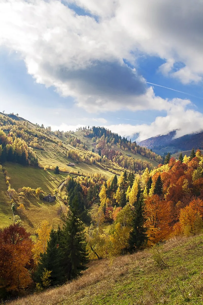 Fall Into Colors: Autumn Valley Landscape - Nature Print canvas with Floater frame by jay