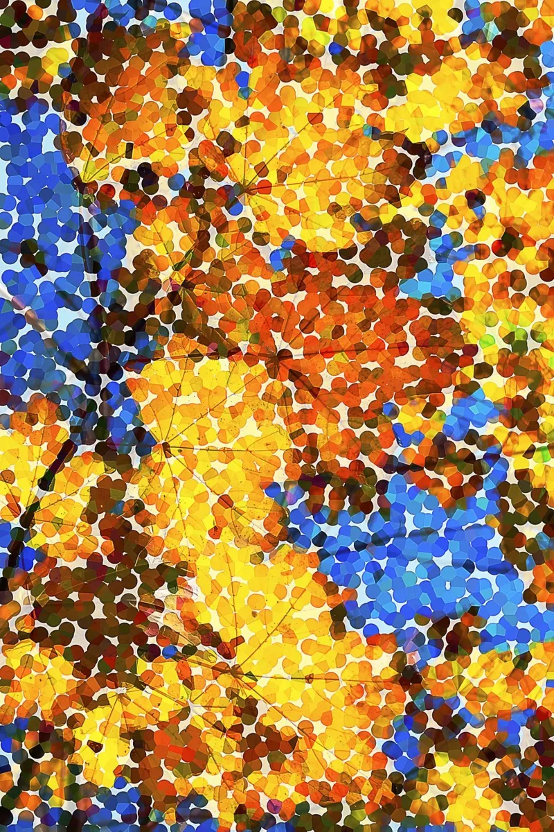 Puntinismo astratto - Foglie d'autunno a puntini colorati poster da jay