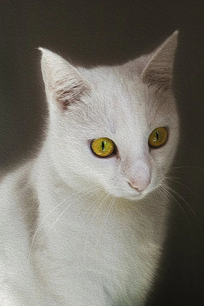 Witte kat met gouden ogen - Olieverfschilderij Fine Art Print canvas met Baklijst van jay
