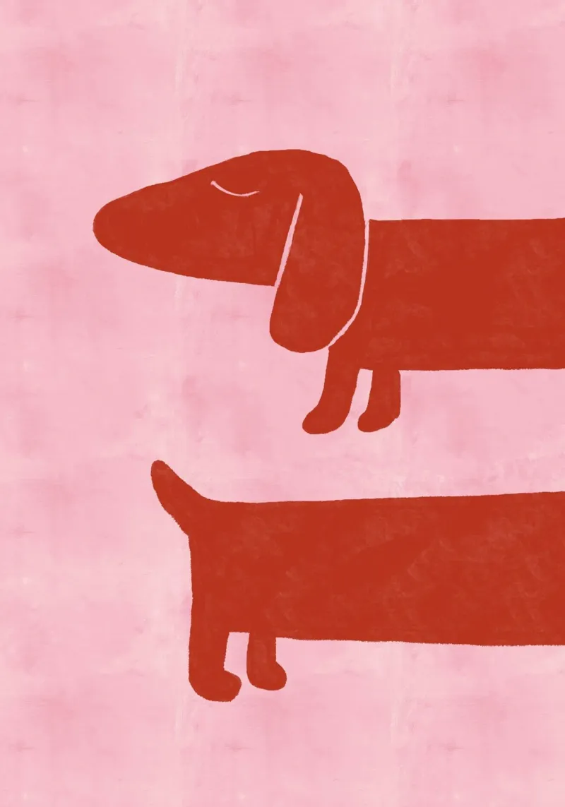 Minimalist Dachshund Dog Art Print canvas with Floater frame by vintagepod