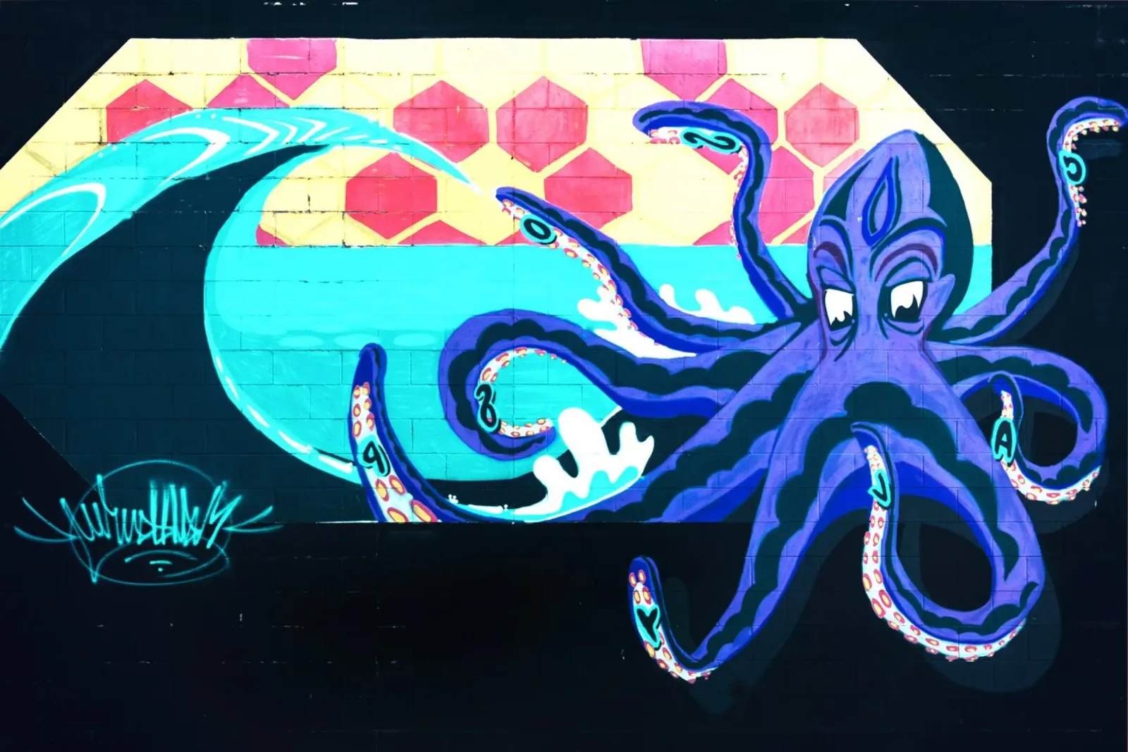 The Enchanted Octopus canvas with Floater frame by Nature's Palette