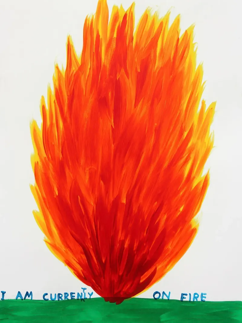 David Shrigley I Am Currently On Fire canvas with Floater frame by ushop god