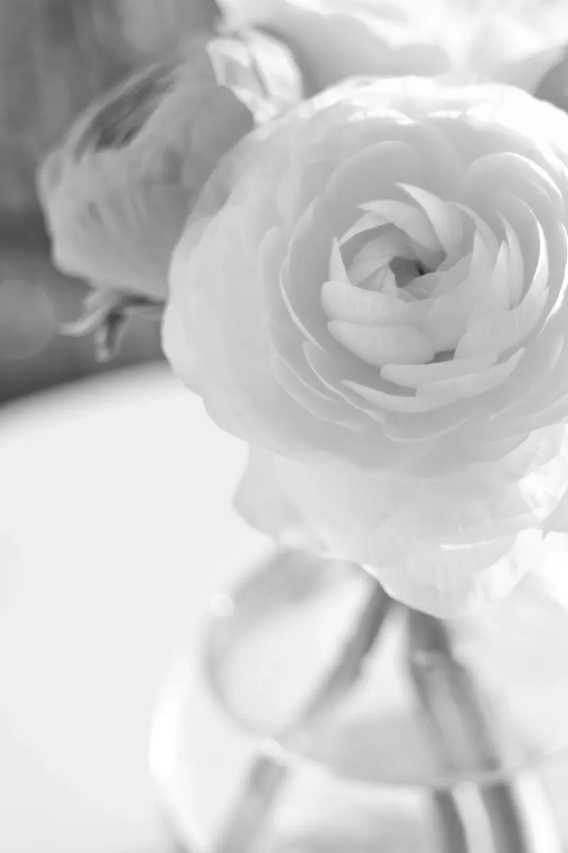 pure & simple hahnemühle by Visuelle Poesie am Wegesrand