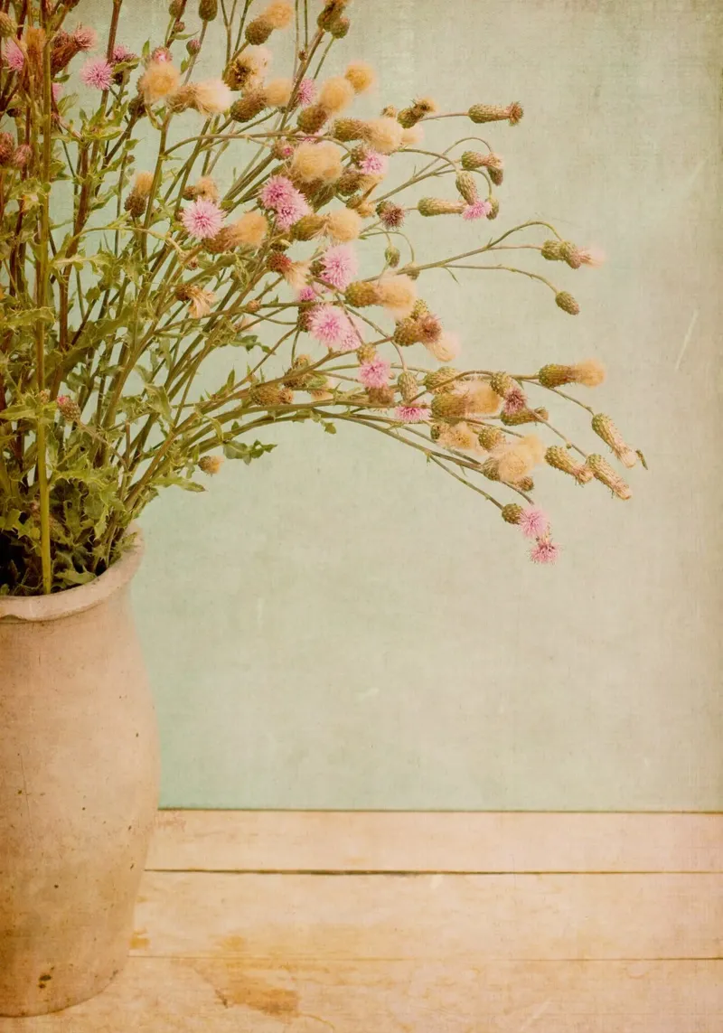still life with thistles poster with wooden frame by Visuelle Poesie am Wegesrand