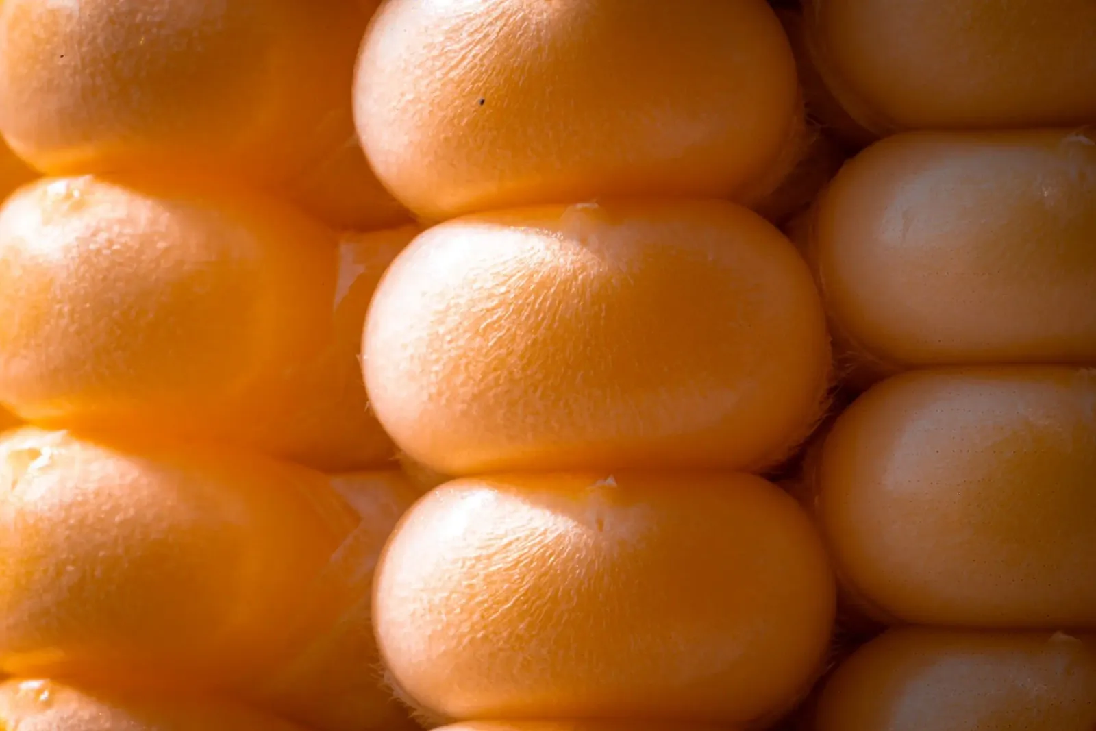 Corn on the cob as a macro photo poster with wooden frame by Marcus Beckert | Fotografie