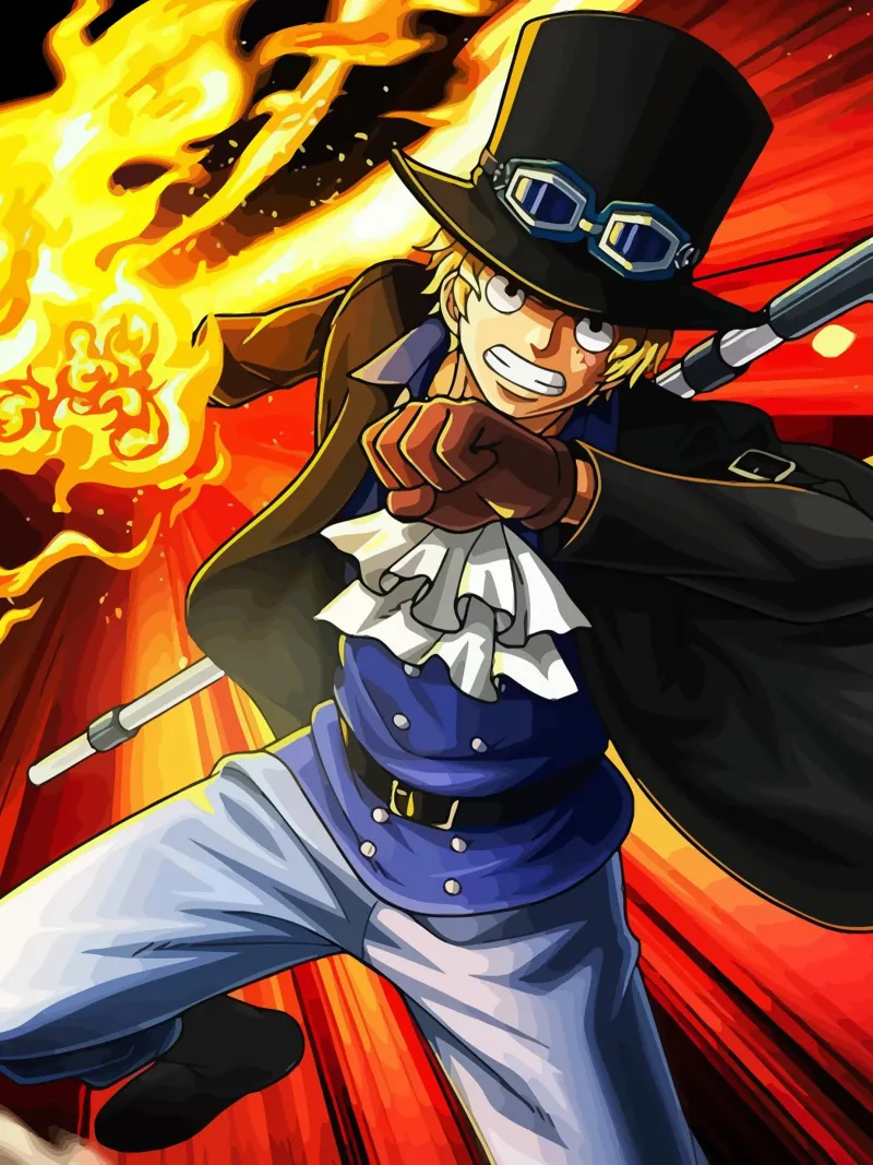 Sabo One Piece tela con Cornice a cassetta da Dumery Art