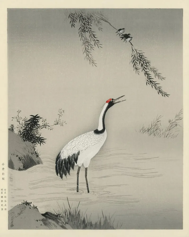 A traditional portrait of a beautiful Japanese crane poster con telaio in alluminio da vintageshop