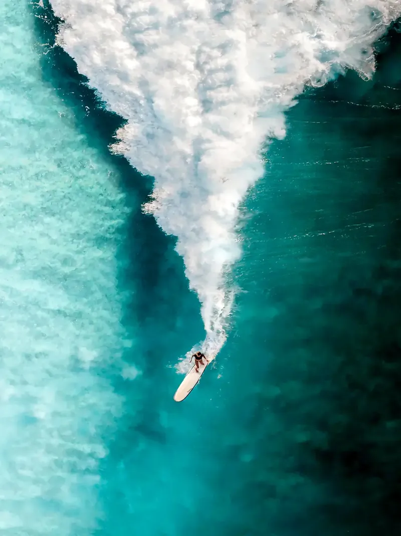 Surf Down poster da Leonard R Sadler
