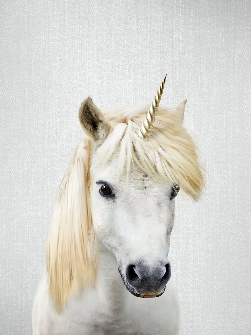 Unicorno colorato poster da Fletcher M Henry