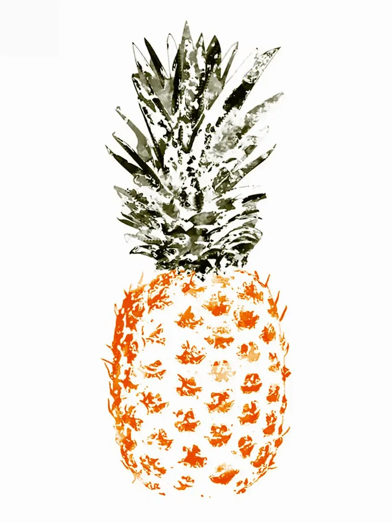 Pineapple canvas with Floater frame by Sven B Strauss