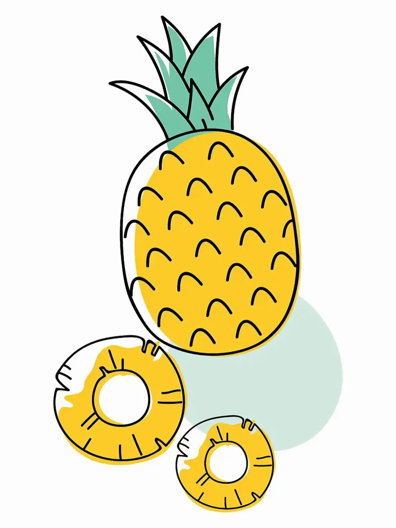Pineapple canvas with Floater frame by Sven B Strauss