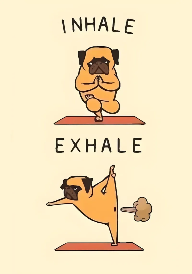 pug doing yoga poster con telaio in alluminio da Type & Tape