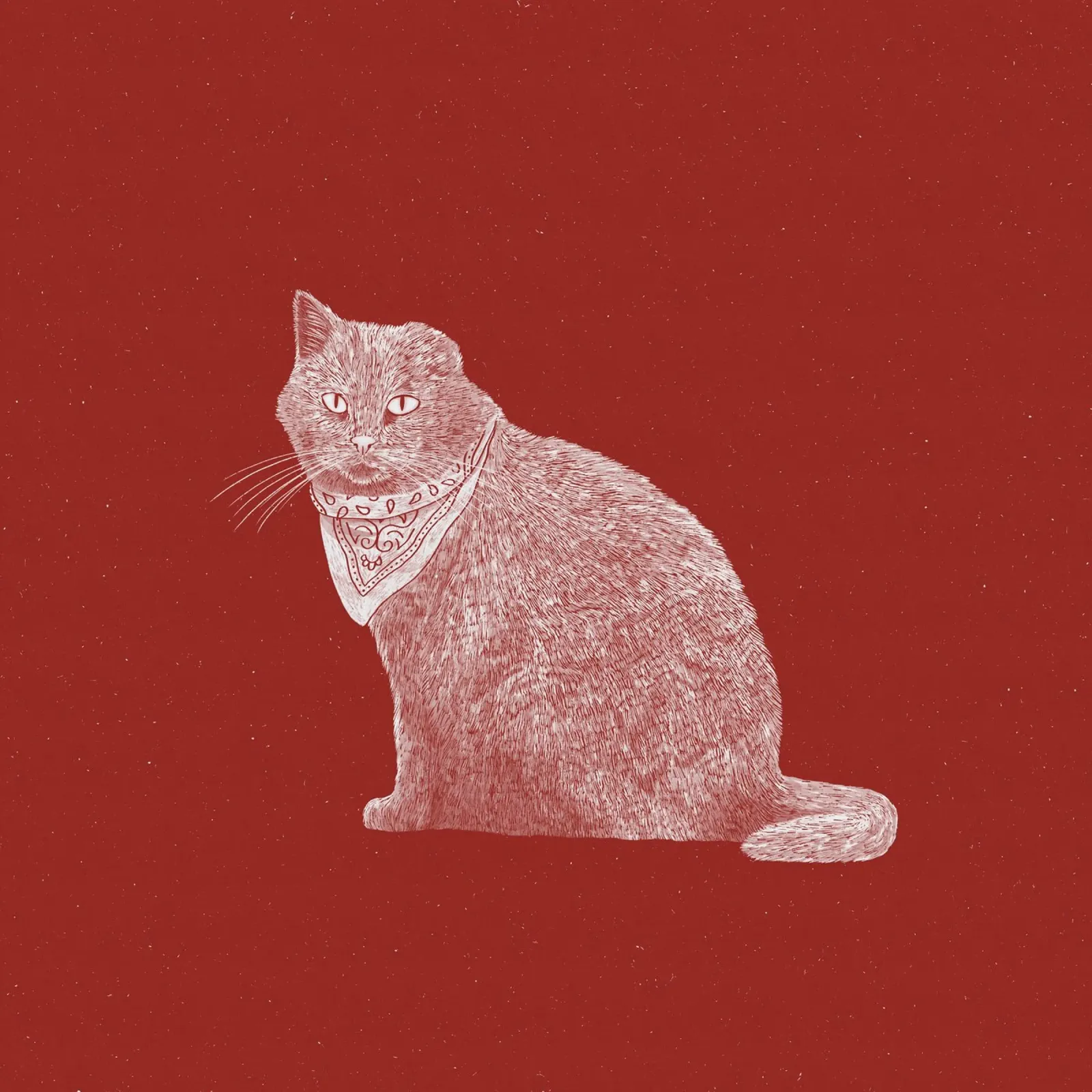 The Badass Bandit Cat poster con telaio in alluminio da AnyoneCanYeehaw