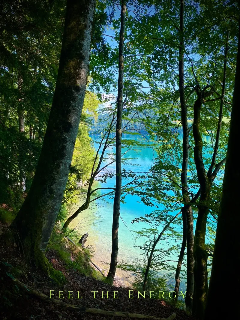 Feet the Energy (Fuschlsee Austria) poster da Happy 😃 Art 🎨 by Christine Schnoell