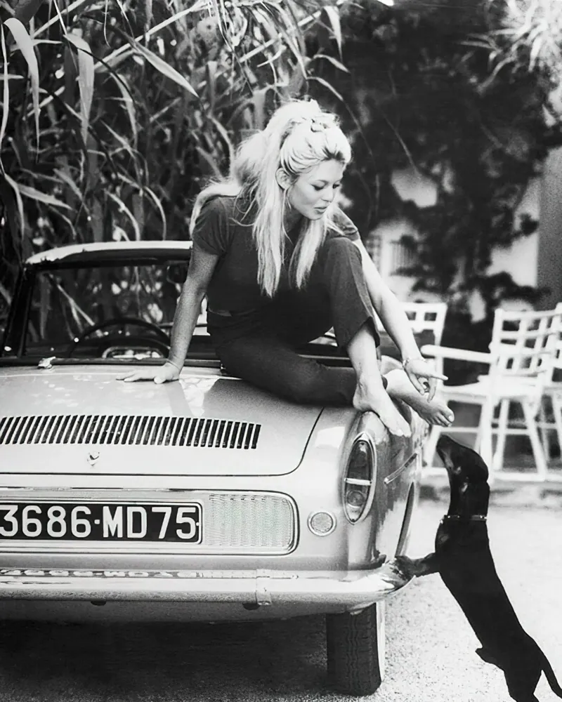 Brigitte Bardot con un perro salchicha 1962 poster de hanna shop
